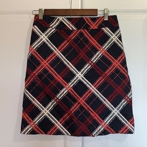 Ann Taylor Skirt (2)